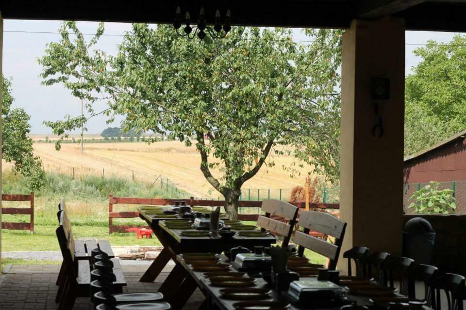 Ranczo- Czarnocin Villa Olszowa Esterno foto