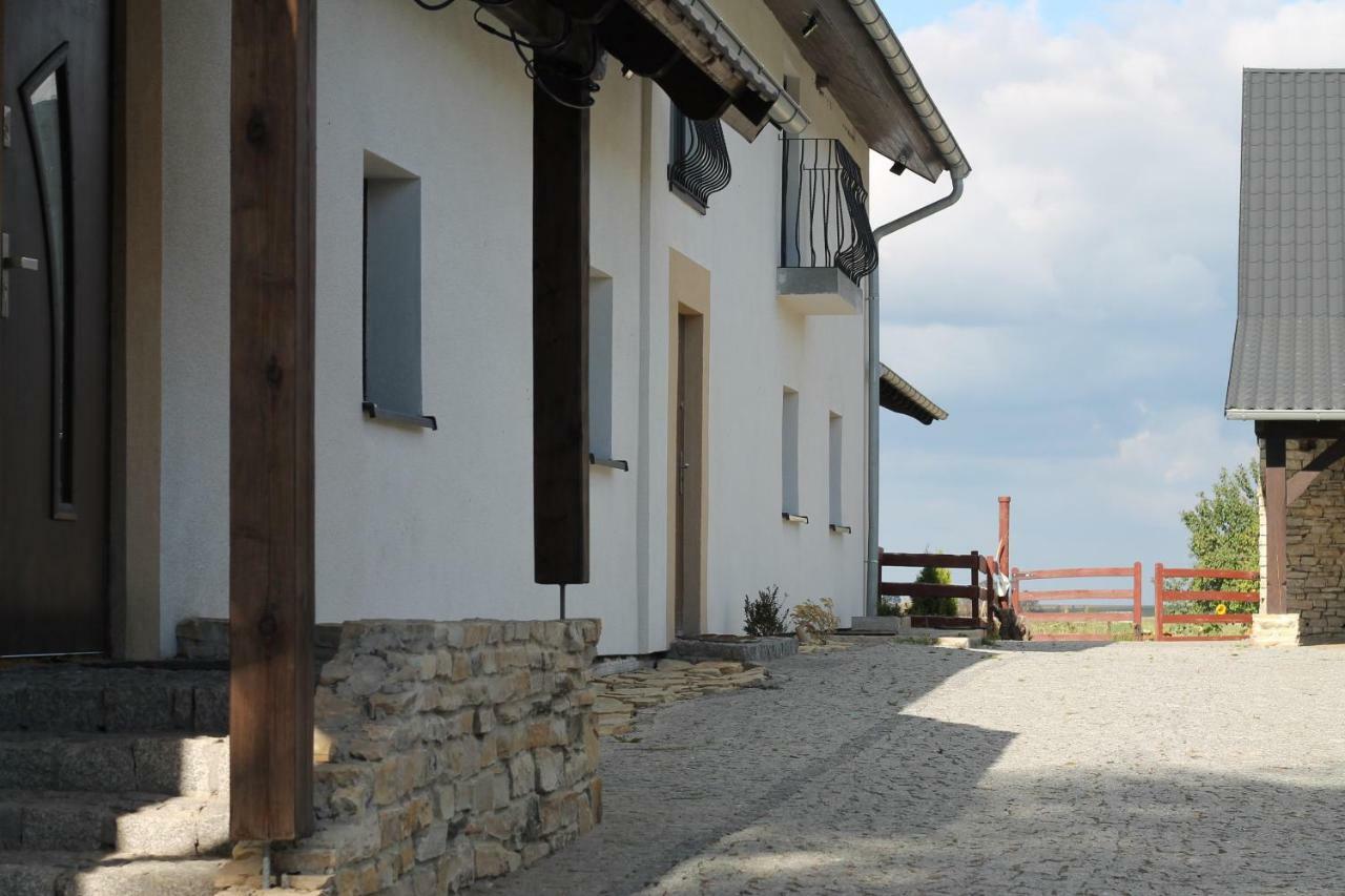 Ranczo- Czarnocin Villa Olszowa Esterno foto